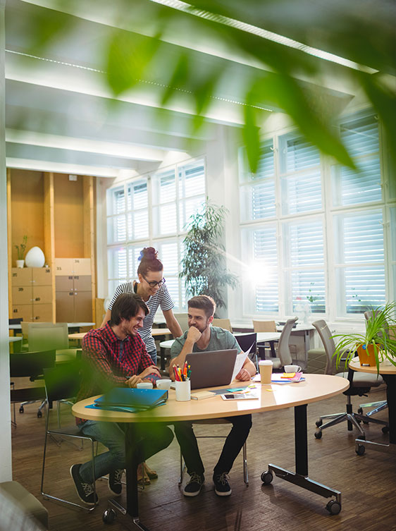 consulting financier